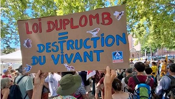 La LPO mobilisée contre la loi Duplomb en région Occitanie et Pays catalan